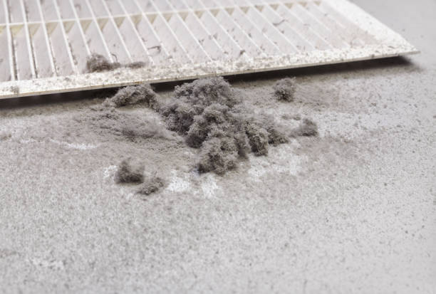 Best Commercial HVAC Duct Cleaning  in Jesup, IA