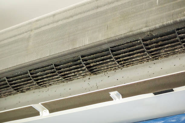 Best Dryer Vent Cleaning Services  in Jesup, IA