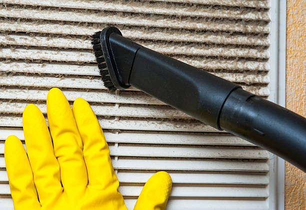 Best Home Air Vent Cleaning  in Jesup, IA