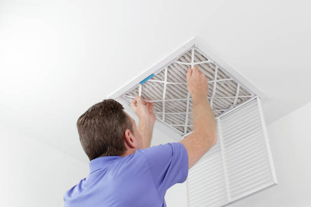 Best Air Vent Cleaning Services  in Jesup, IA
